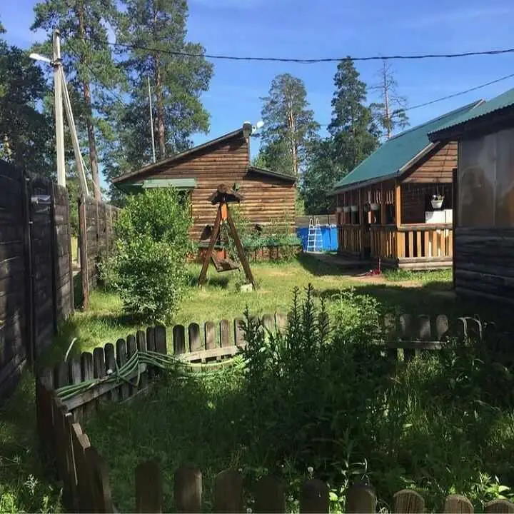 посёлок Заповедный: Отдых в Бузулукском бору