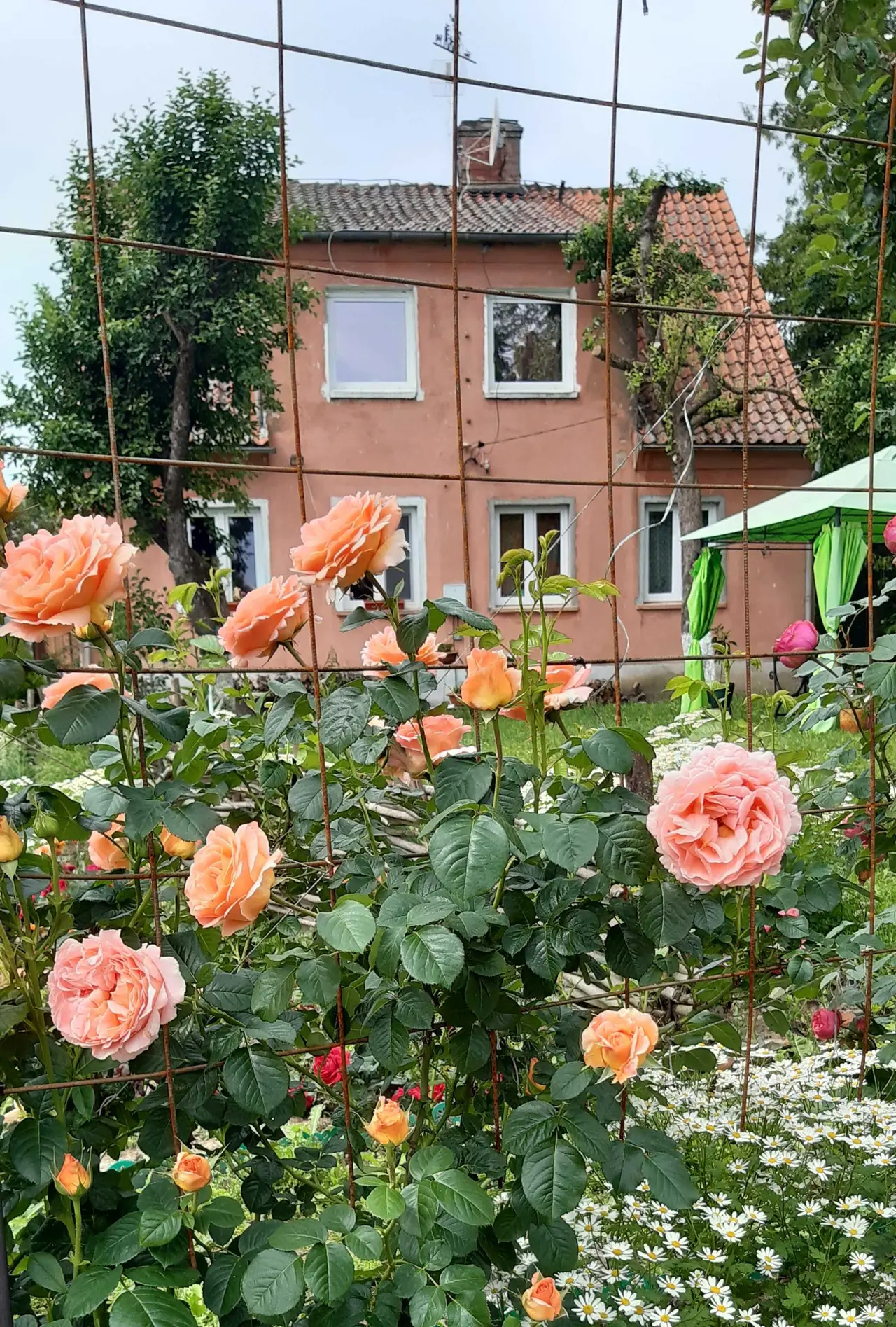 Нестеров: У Красной реки
