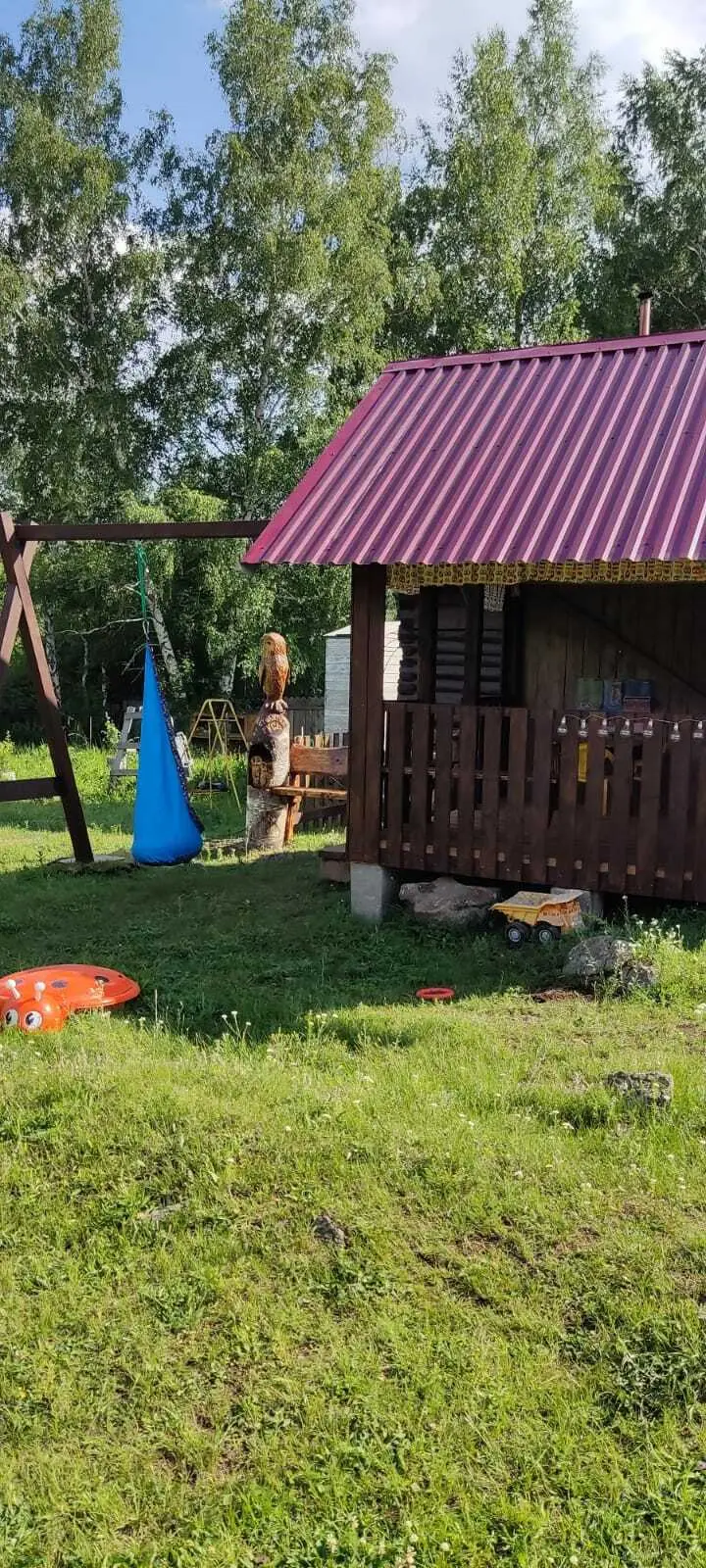 село Колывань: Медная сова