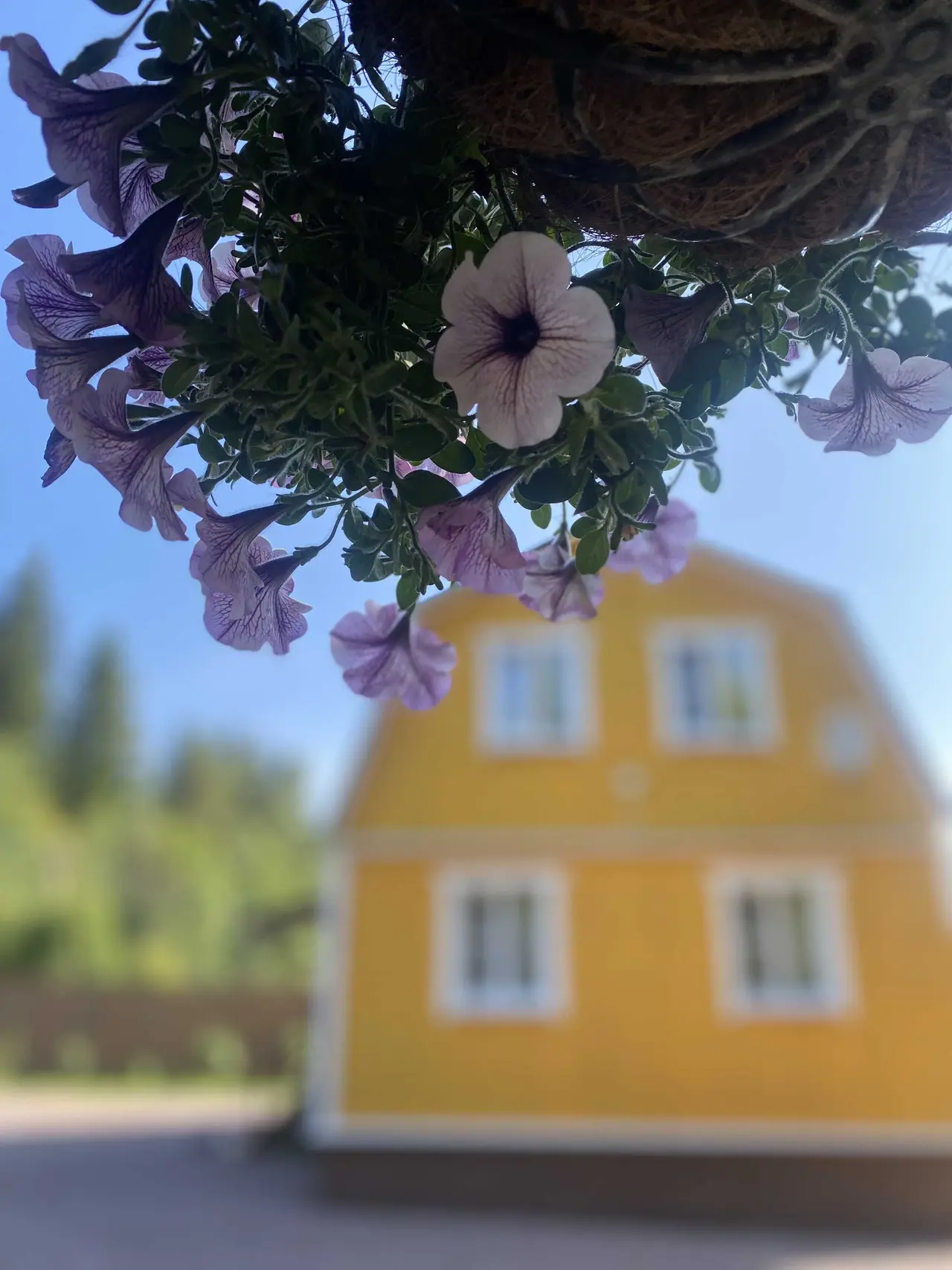 Вуорио: Sunny house luxe