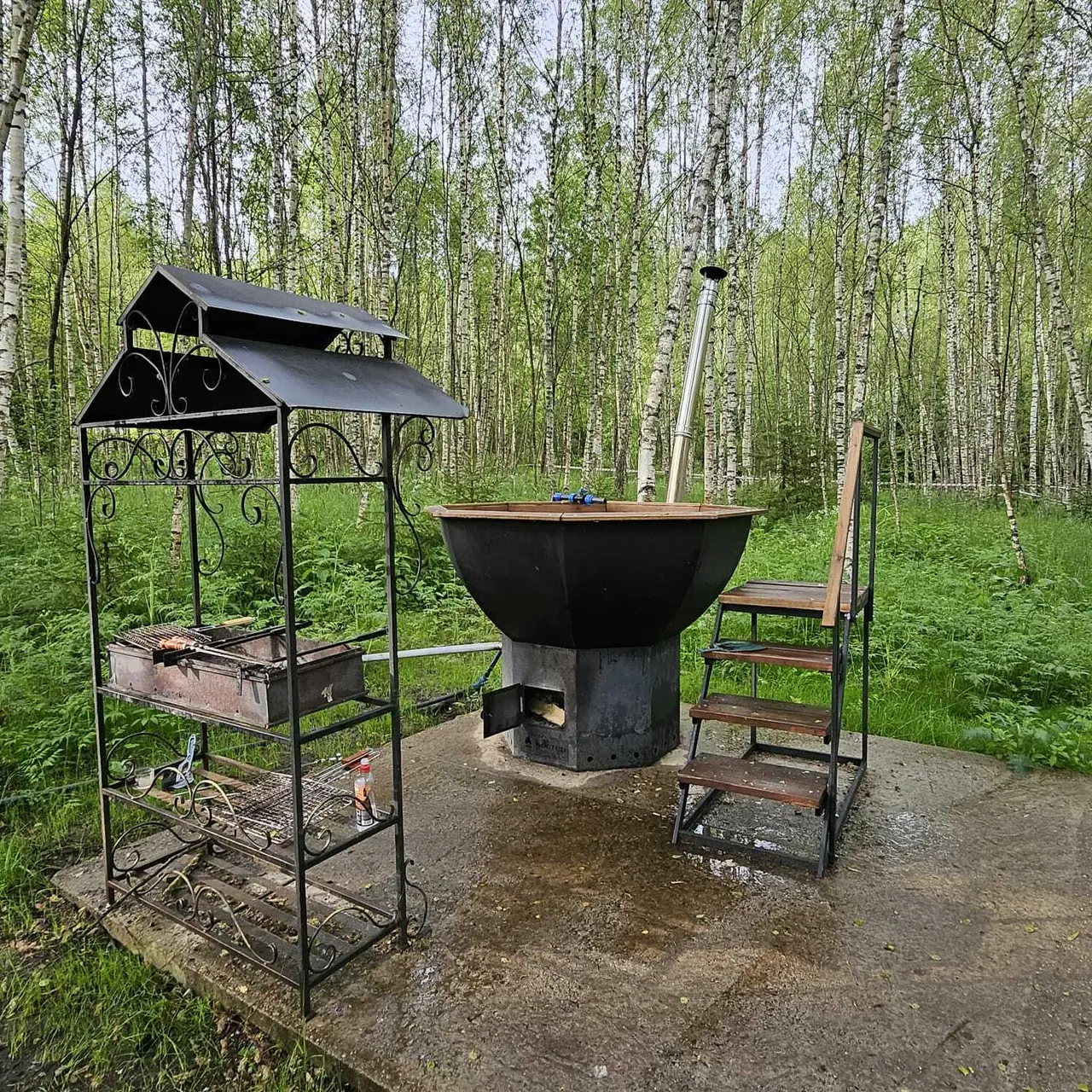 Шаховская: В гостях у леса