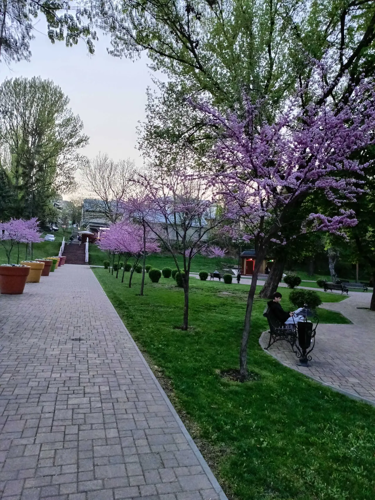 Кисловодск: Дом у парка