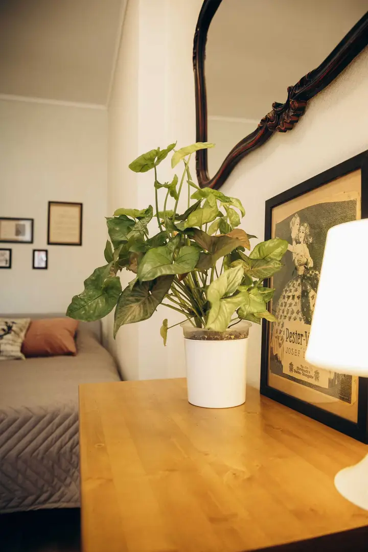 Калининград: LovelyHome39 Арт-квартира в Амалиенау