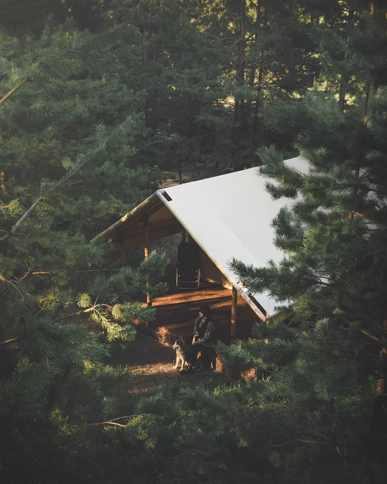 сельское поселение Троицкое: Глэмпинг "Alpen Camp"