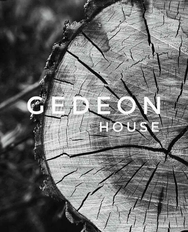 Турбаза Юность: “GEDEON HOUSE” 20"