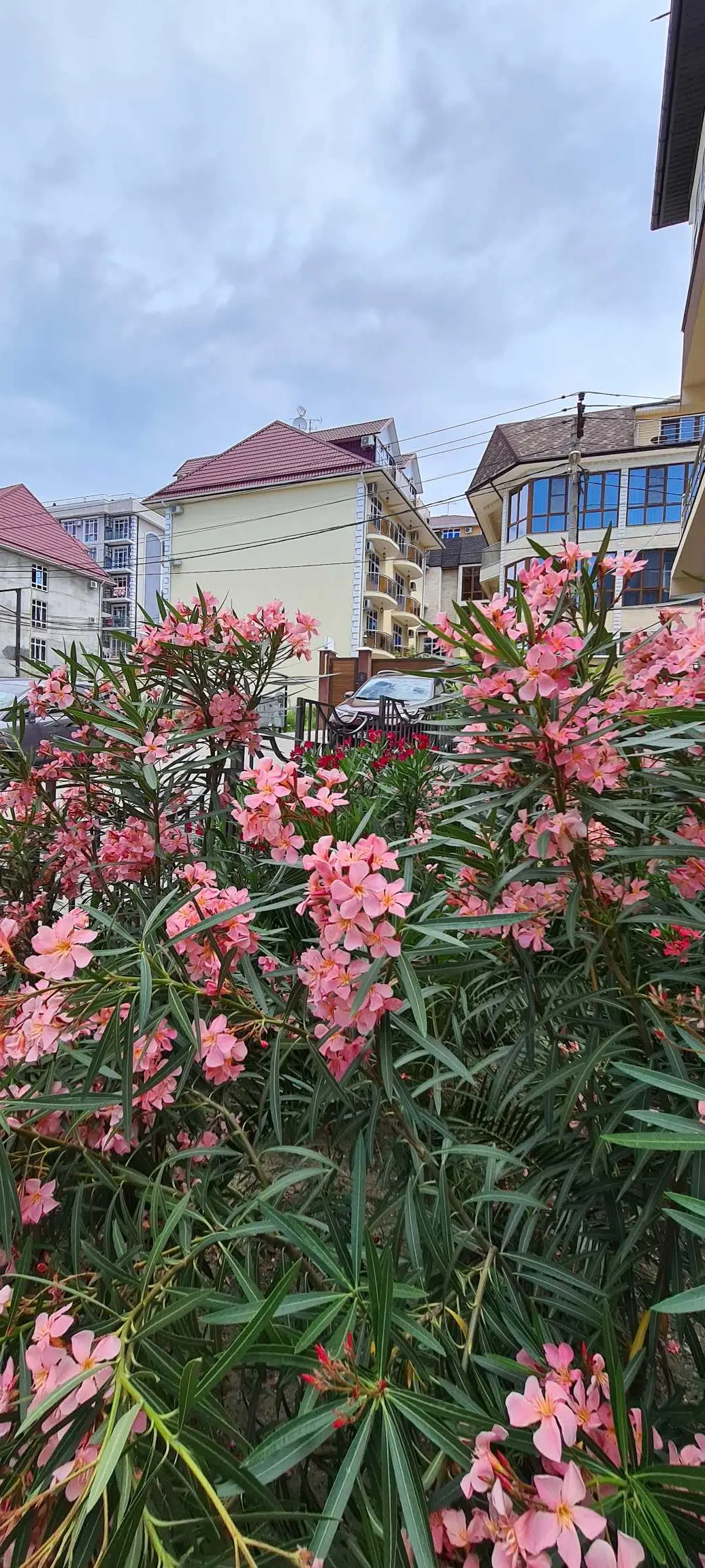 Сочи: Студия с балкончиком в Кургородке