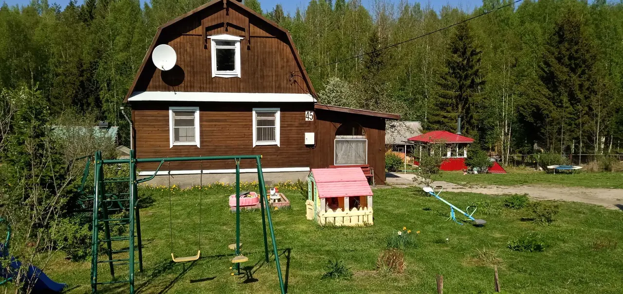 Петрозаводск: Домик Нёлукса