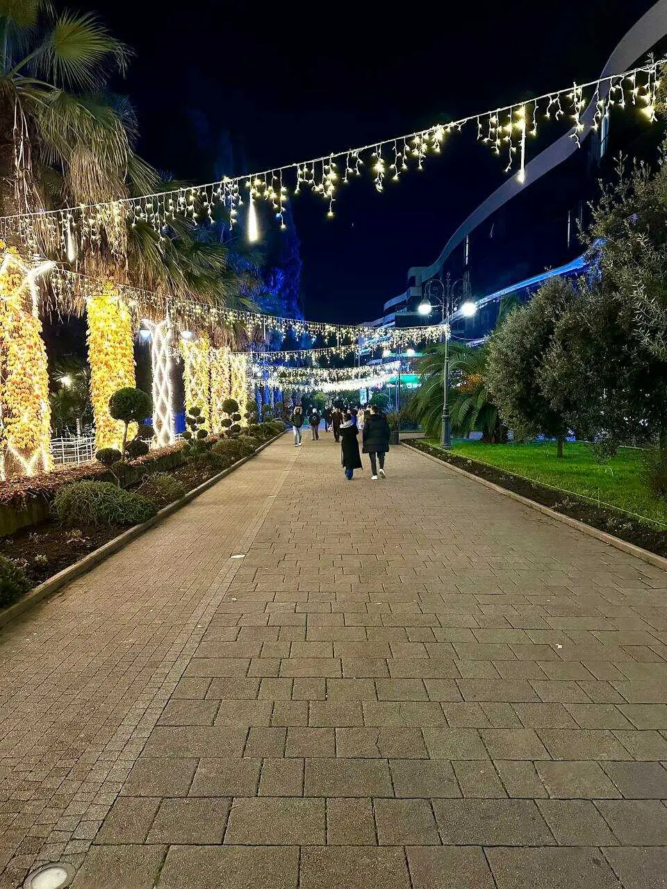 Сочи: In Турист Sochi