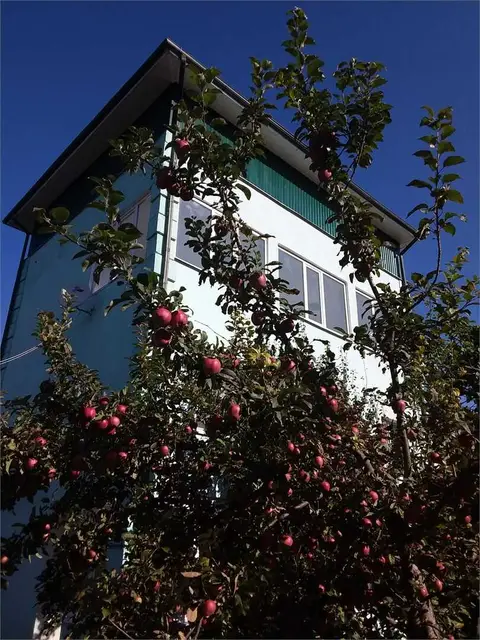 Гостевой дом Тамара — фото 1