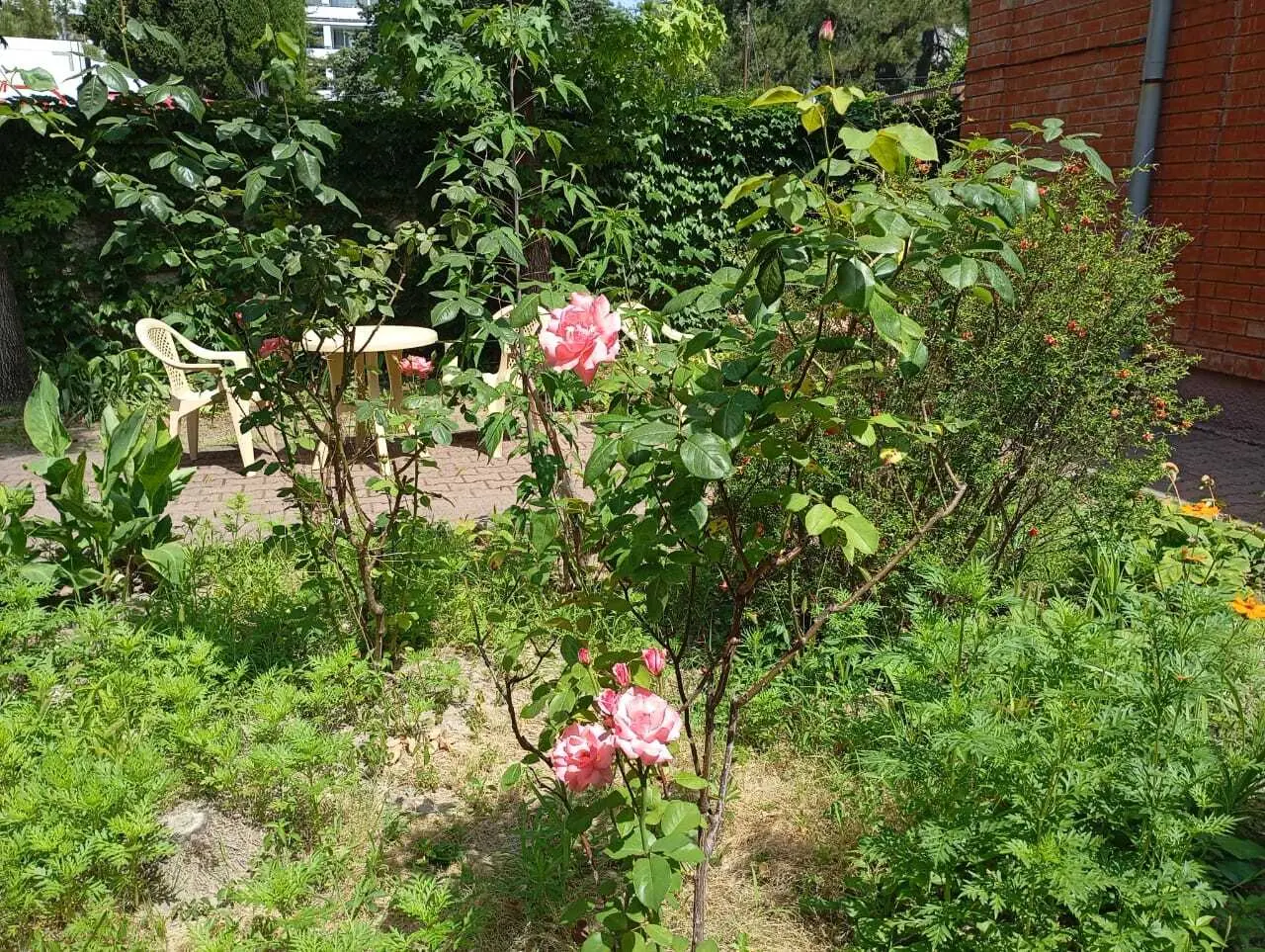 Сочи: Аквариум