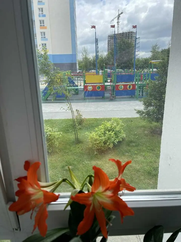 Новосибирск: "Квартира у аквапарка" Ясный Берег 9