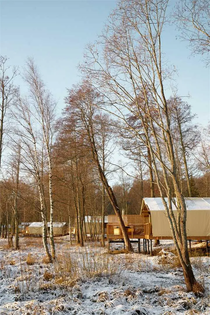 Васкелово: Lembo Glamping