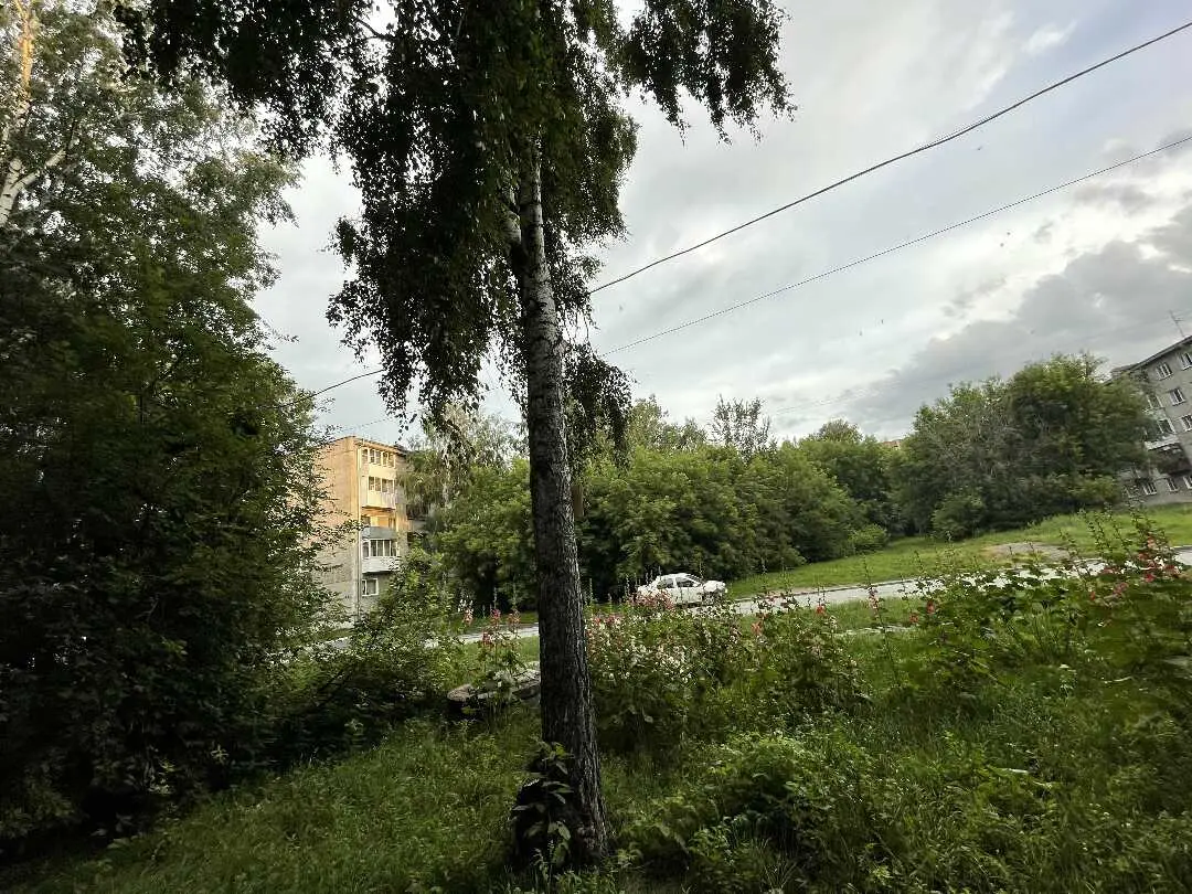 Новосибирск: Квартира на улице Красный Факел