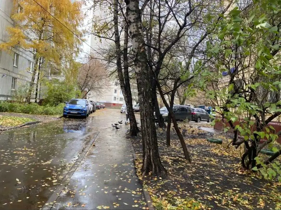 Москва: Уютная АтмосферА на Ремизова
