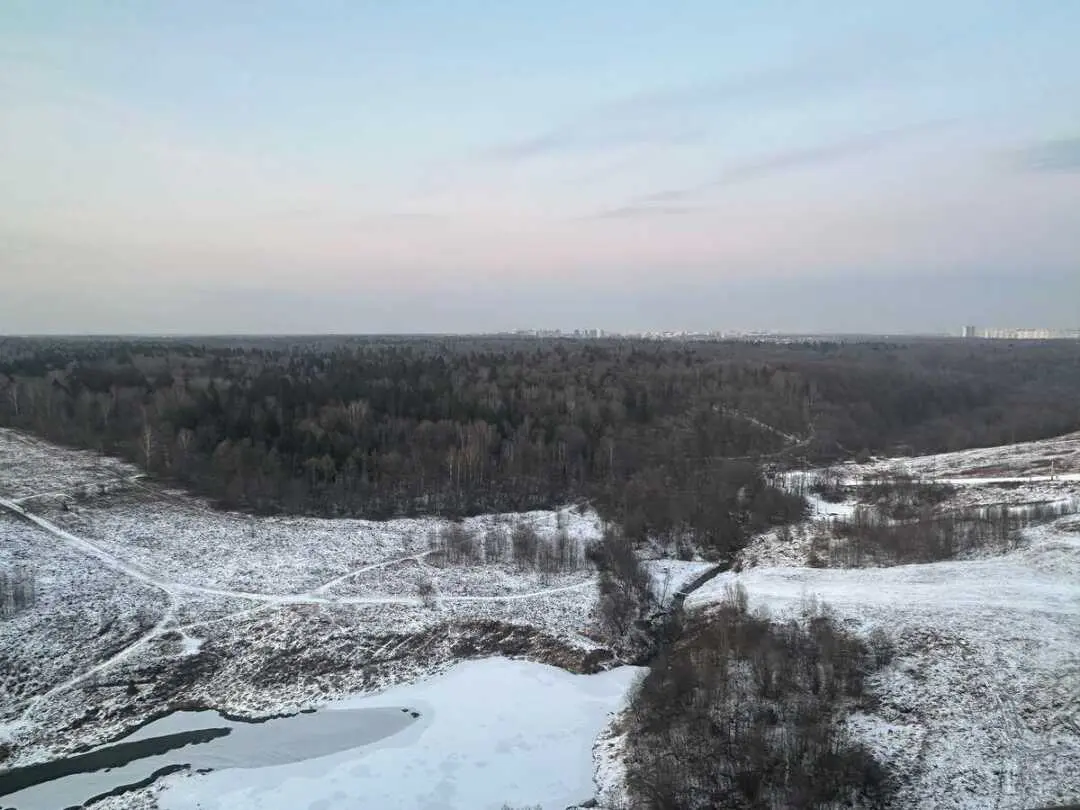 Красногорск: Уютная студия в живописном районе