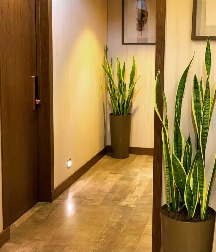 Сочи: Отель "Simple Hotel"