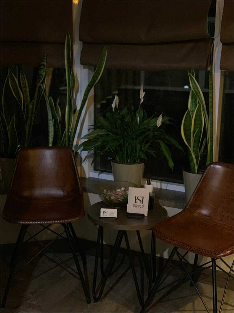 Сочи: Отель "Simple Hotel"
