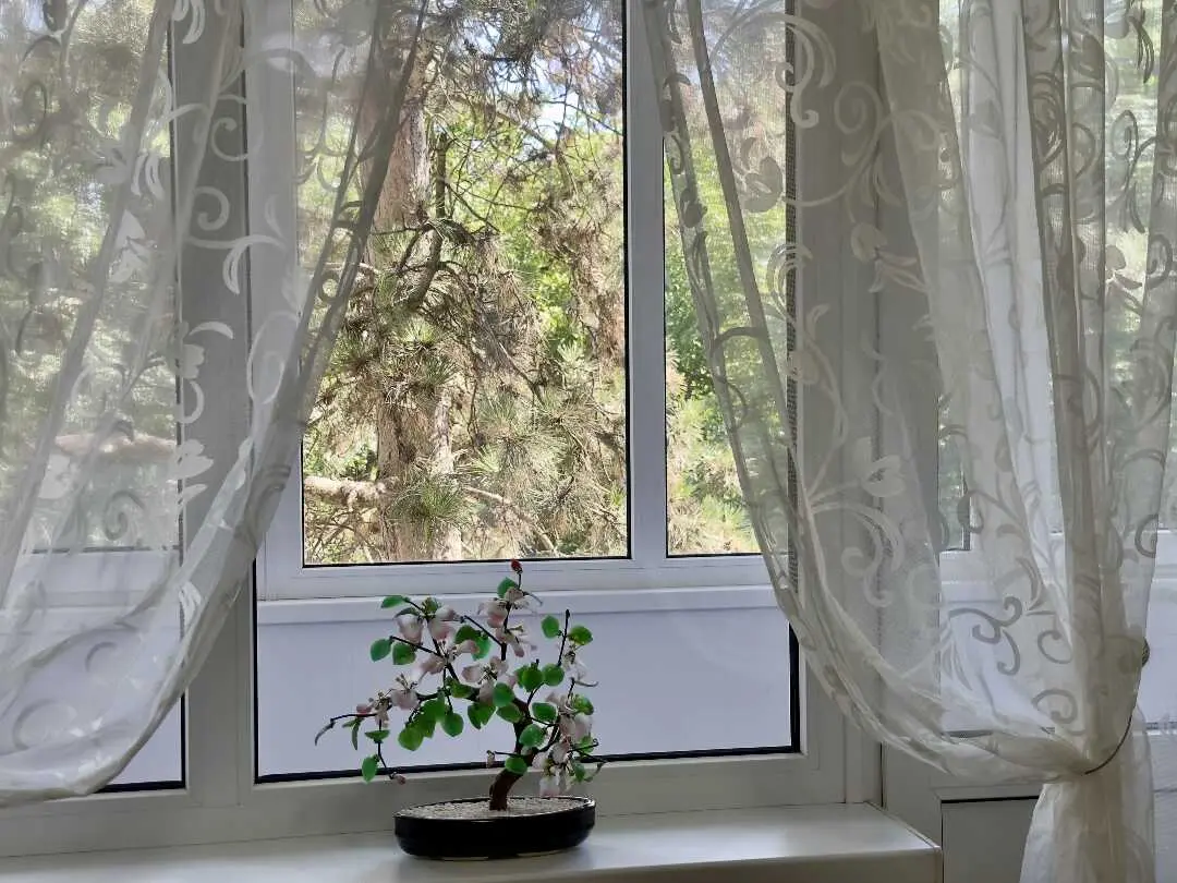 Ессентуки: StayNGet Apartments на Пятигорской улице 112А
