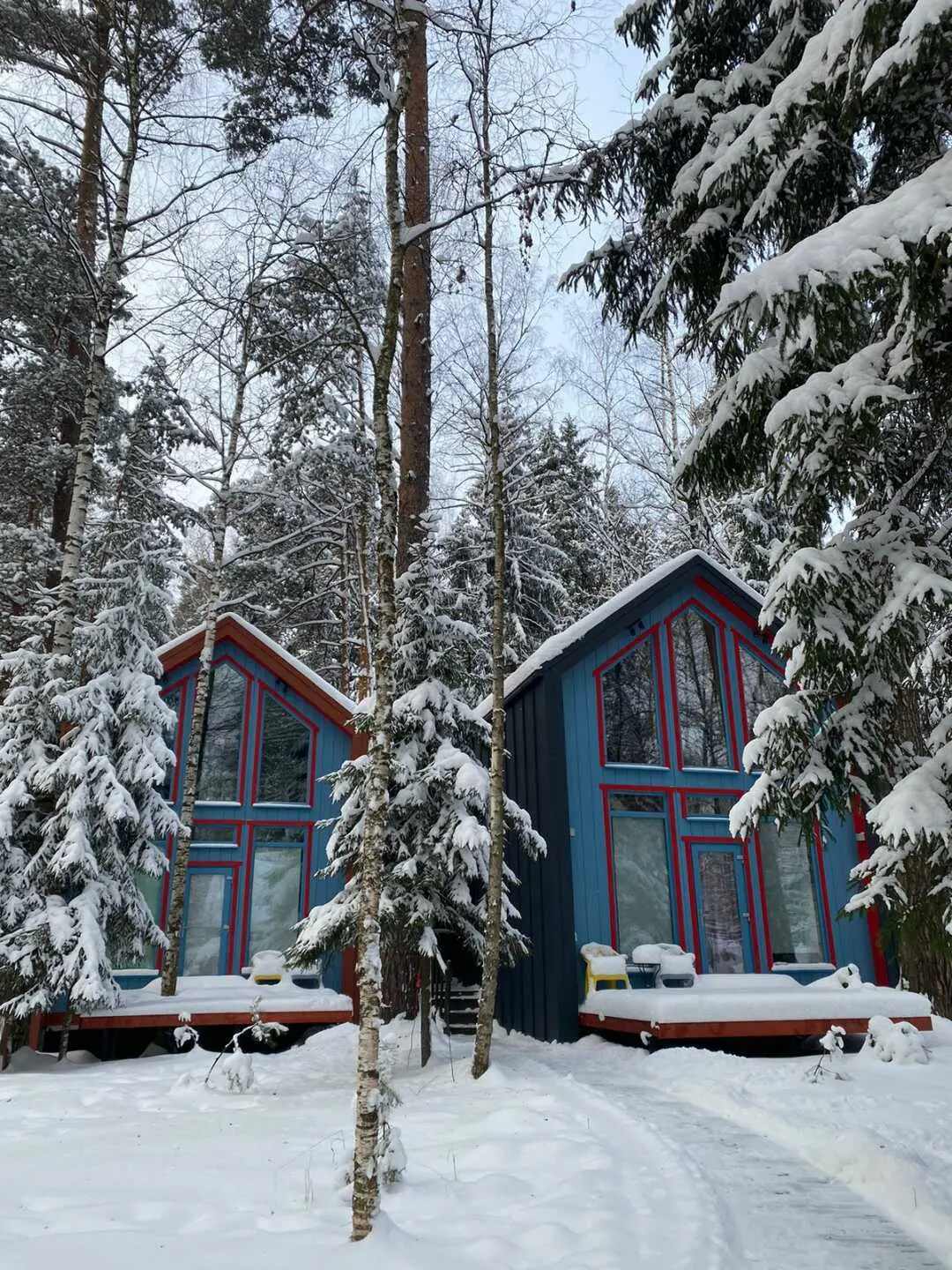 Пушкино: Барнхаусы в лесу с банькой