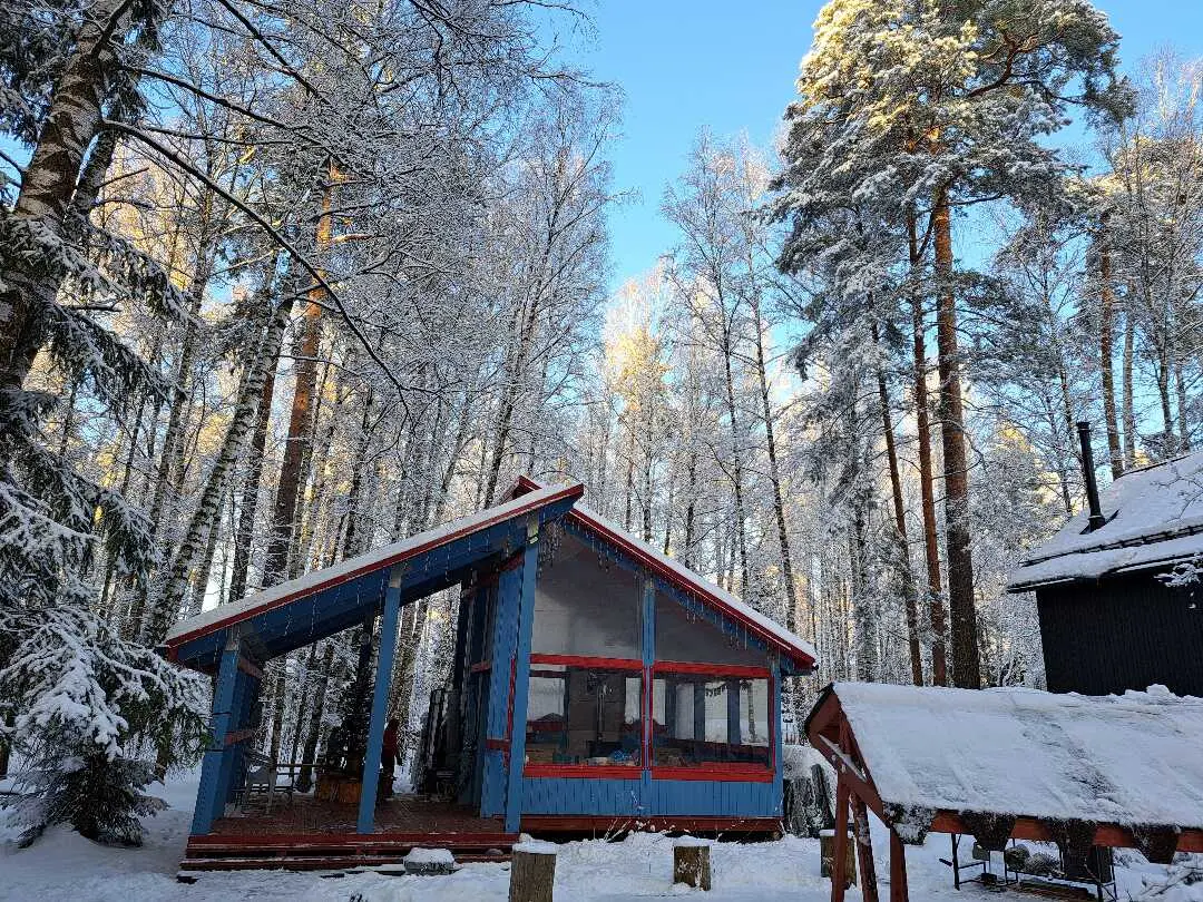 Пушкино: Барнхаусы в лесу с банькой