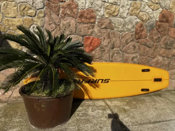 Сочи: ЭмилиА