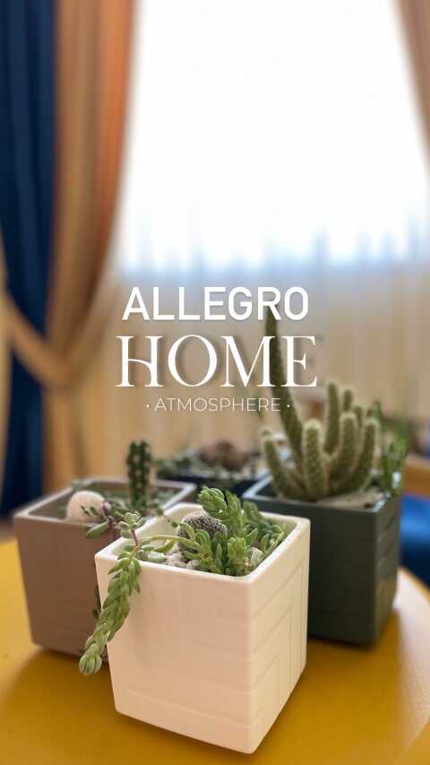 Лоо: Гостевой дом «Allegro Home»