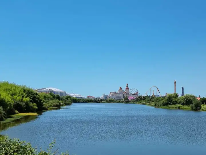 Сириус: Уютная квартира на берегу моря