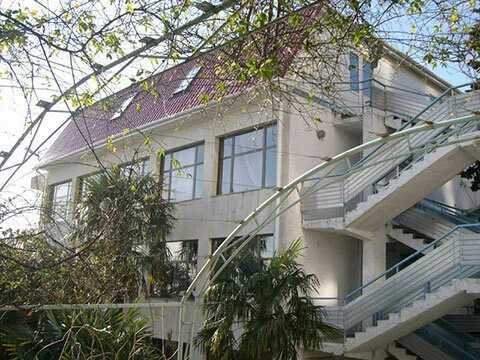Ялта: Отдых Welness Resort &SPA
