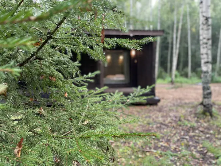 Переславль-Залесский: Forester Glamping