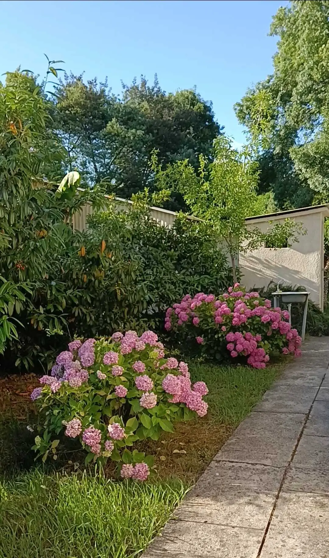 Цандрыпш: Villa Mampre- рай для уединения🏝