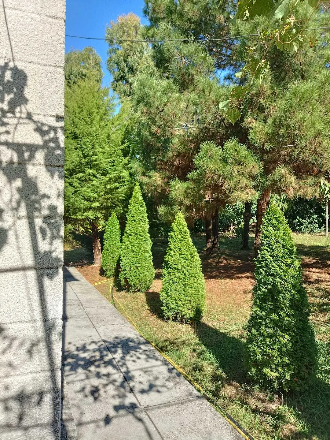 Цандрыпш: Villa Mampre- рай для уединения🏝