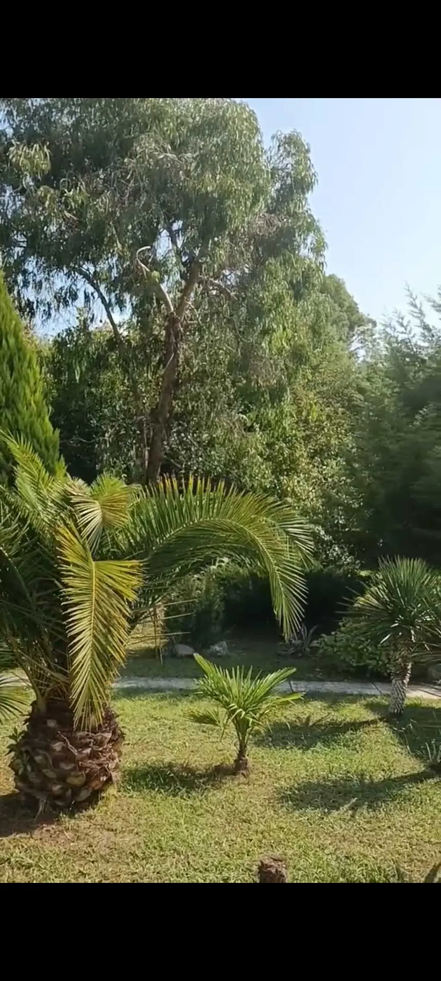 Цандрыпш: Villa Mampre- рай для уединения🏝