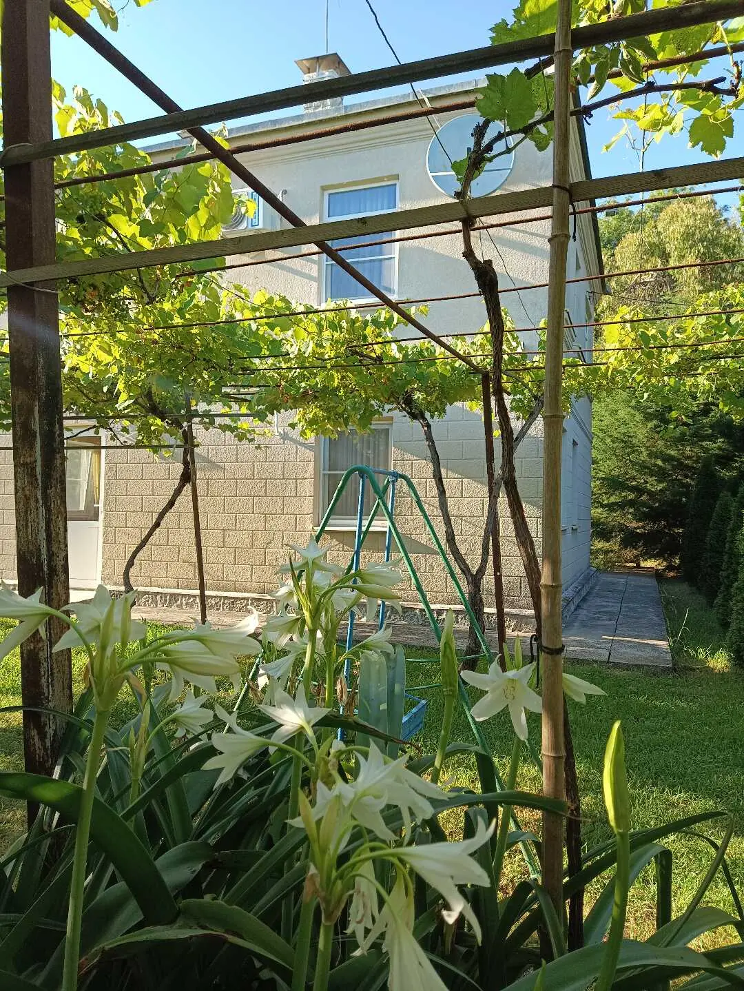 Цандрыпш: Villa Mampre- рай для уединения🏝