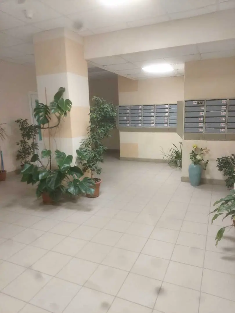 Волгоград: Уютная квартира в центре