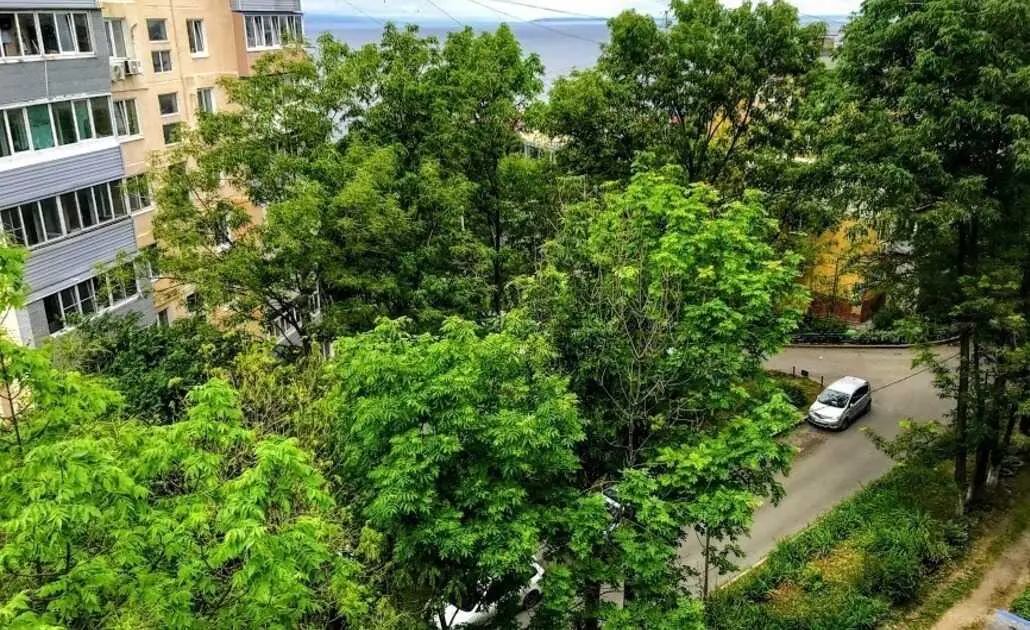 Владивосток: Владивосток Рент на ул. Амурская 8