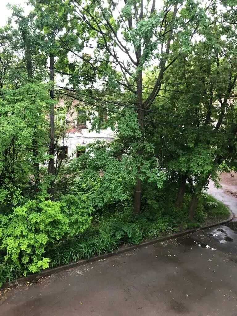 Ярославль: Квартира Красный Съезд