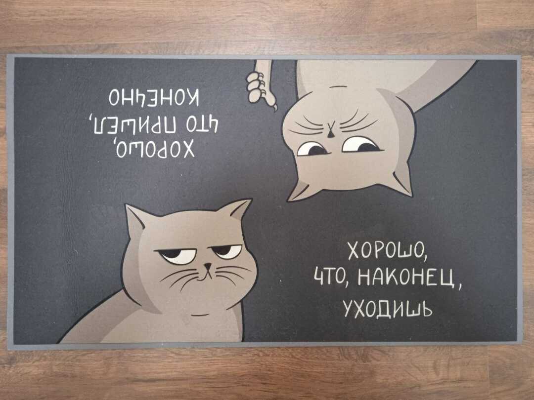 Санкт-Петербург: Студия Санкт-Петербург