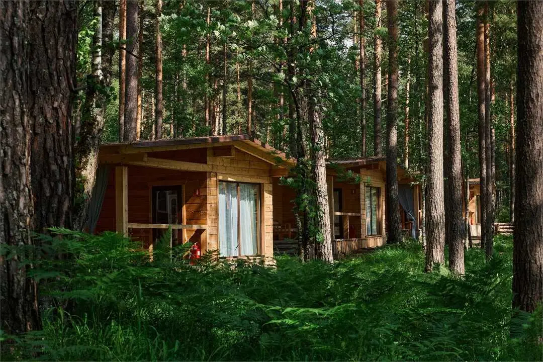 Чепош: "Altay Sense"