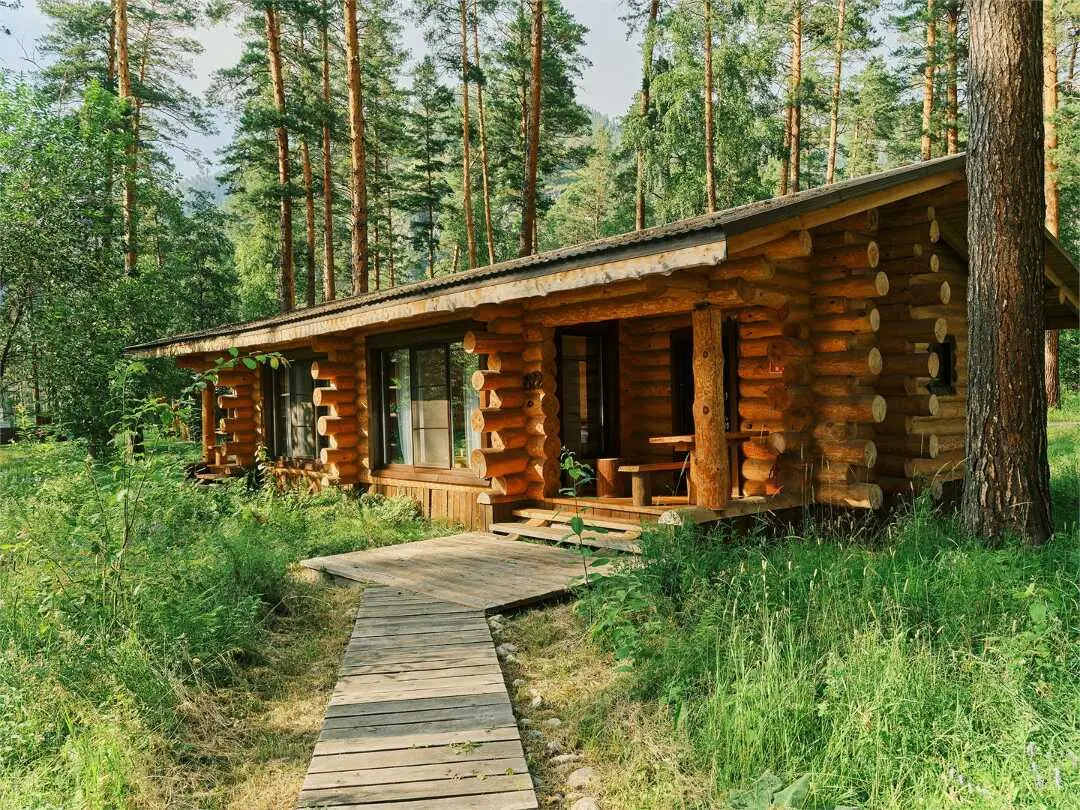 Чепош: "Altay Sense"