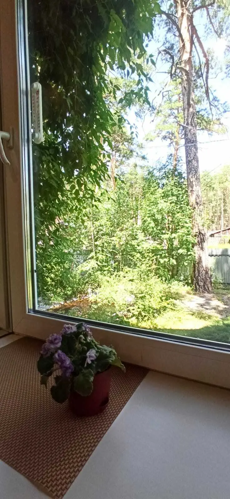 Чемал: Жилой дом