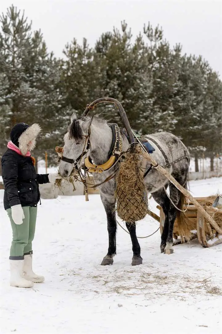 carousel image 1