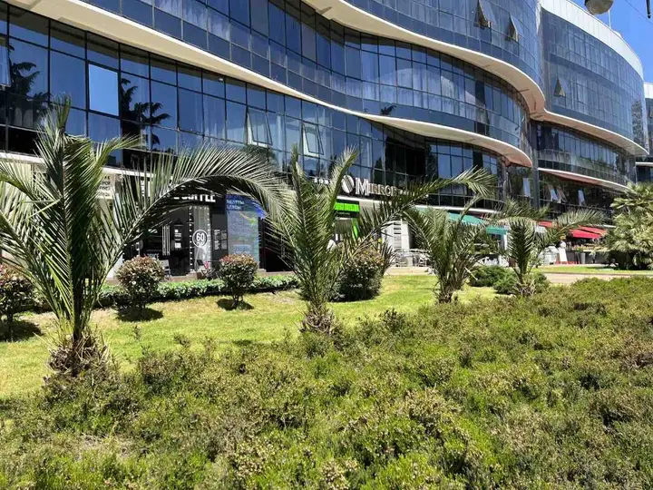 Сочи: inSochi Resort Apartments