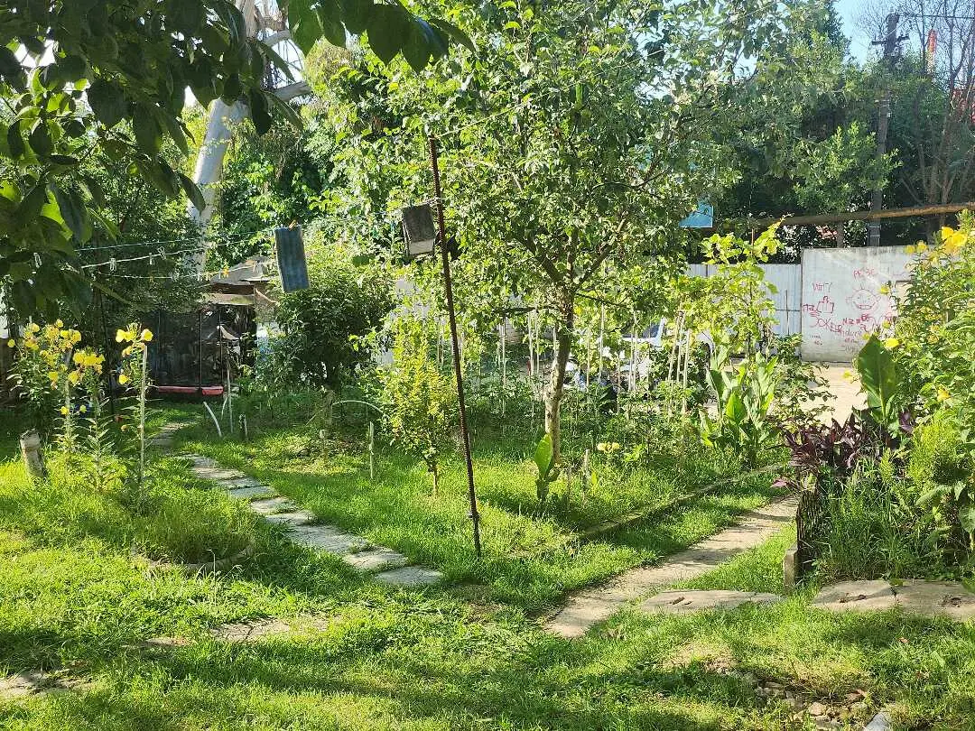 Сочи: Частный дом