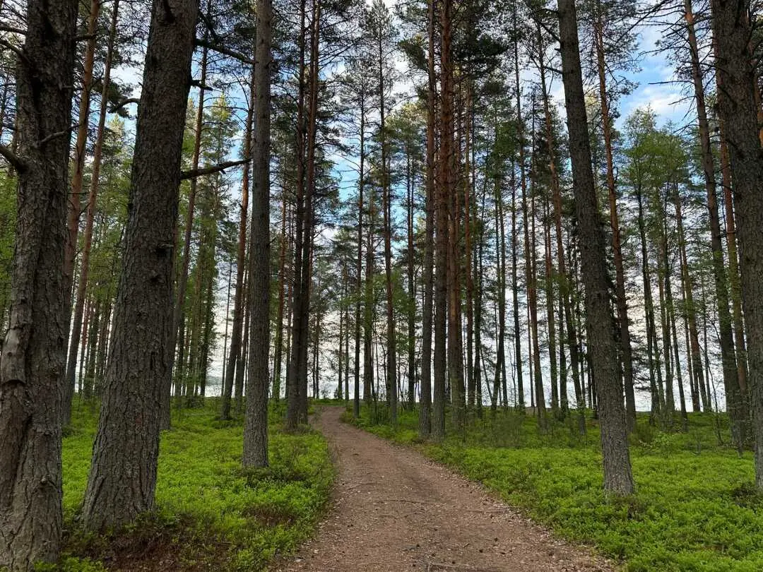 Суоярви: Вилла Ранду