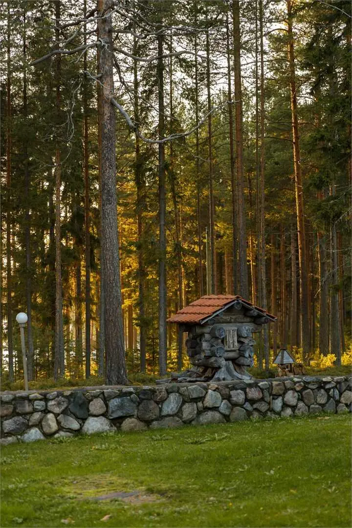 Медвежьегорск: Медвежка в Карелии