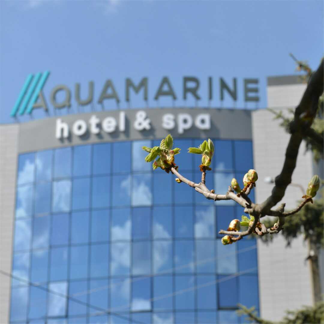 Aquamarine Hotel&Spa (Аквамарин) — фото 1