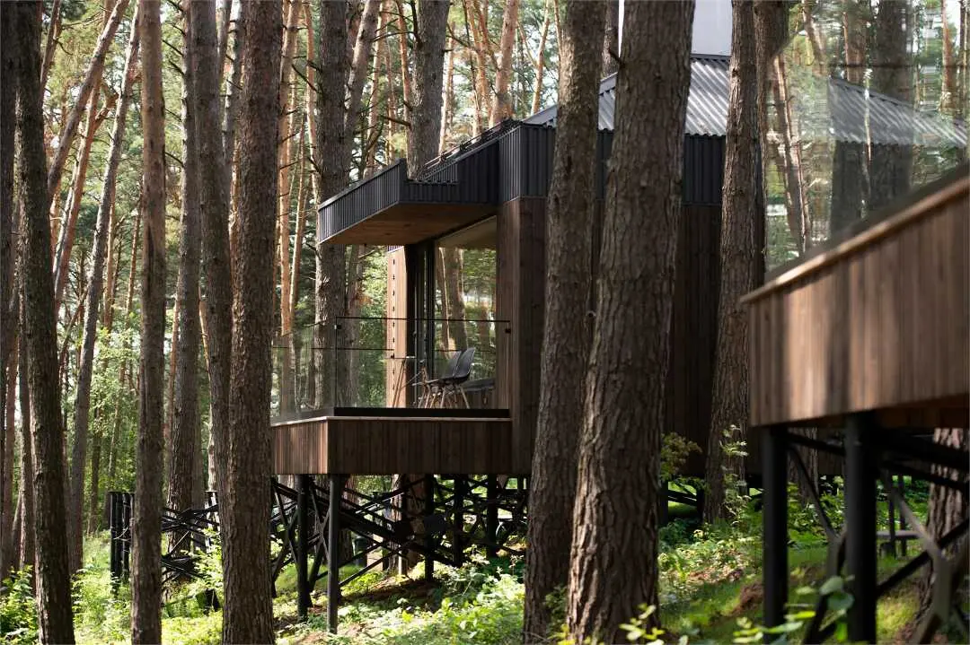 Алексин: Wish Home Лесной берег