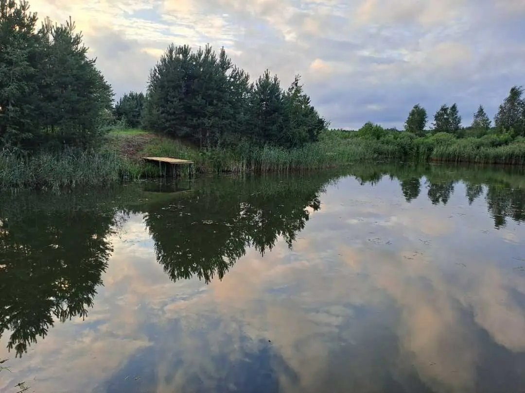 Шатура: Яламия
