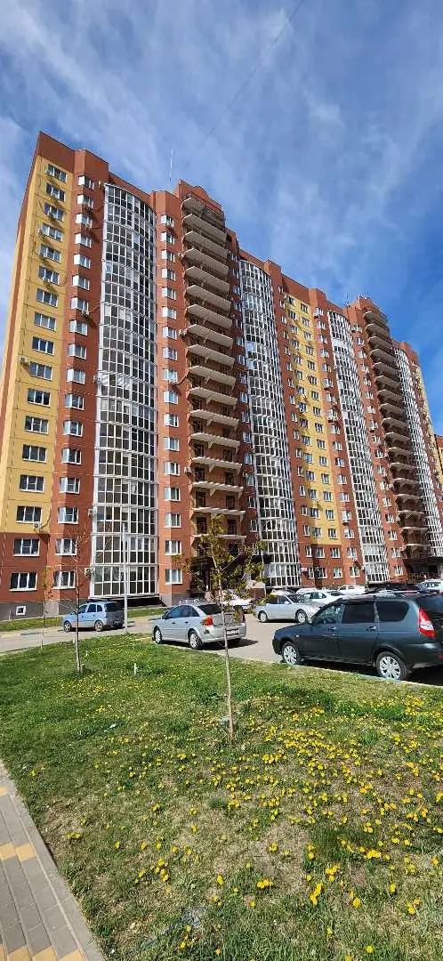 Воронеж: Квартира на ул. Артамонова 34/7