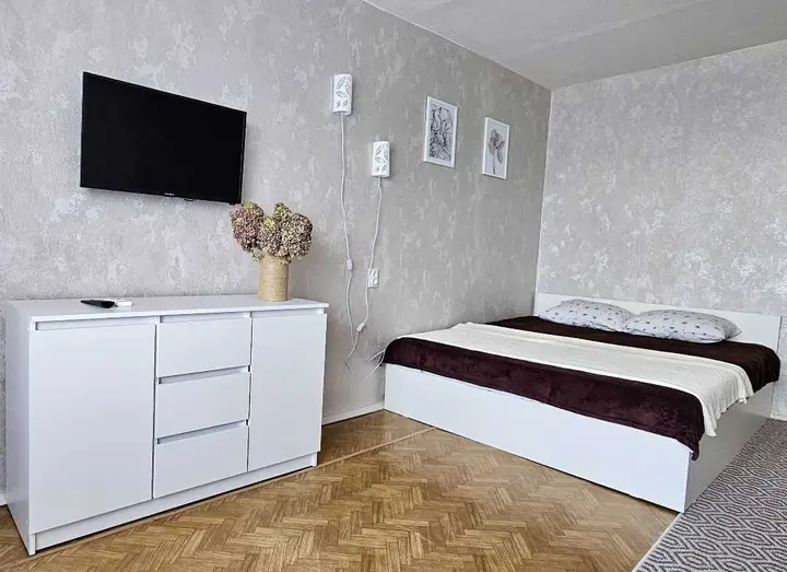 Воронеж: Квартира на ул. Моисеева 55
